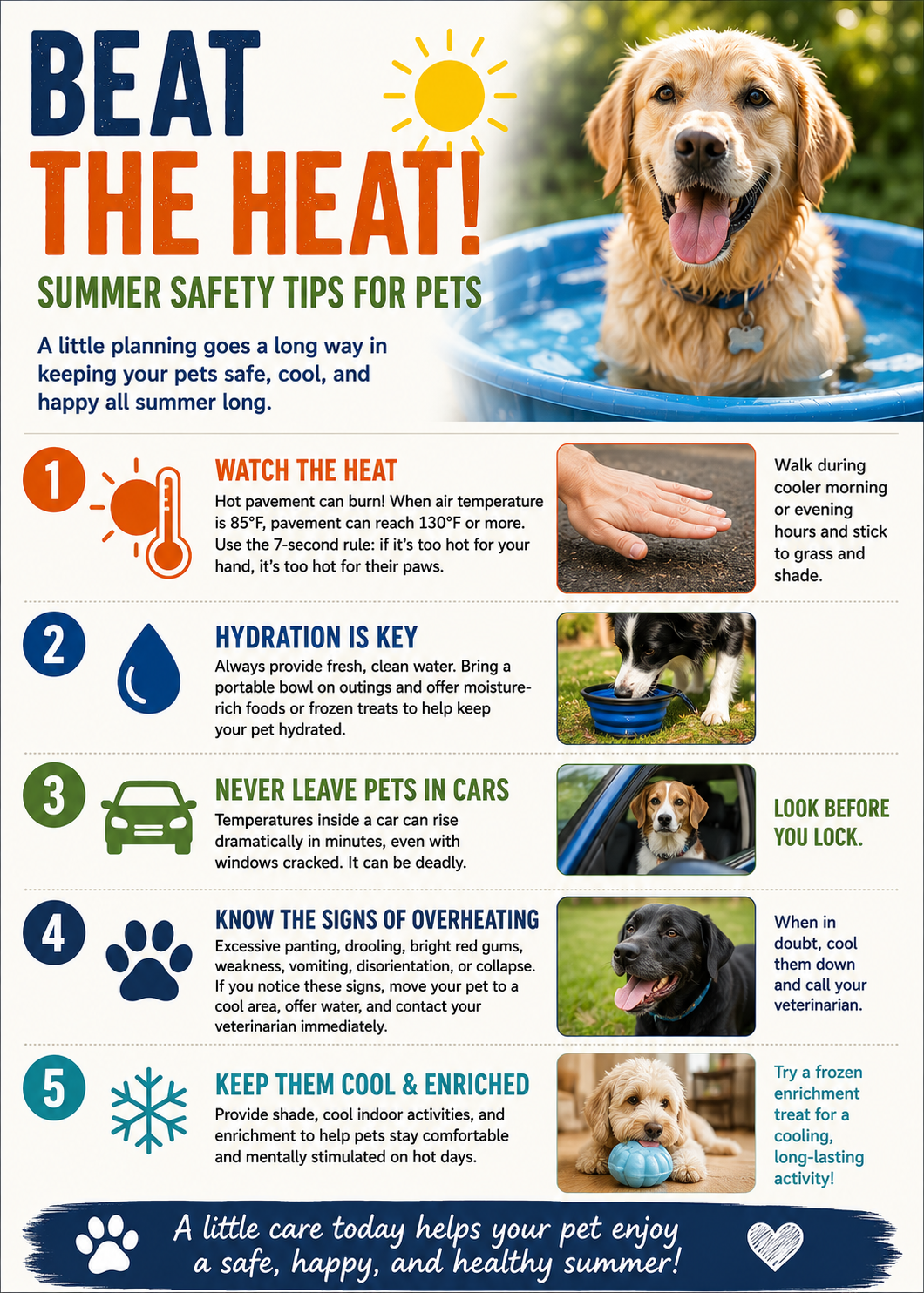 Beat the Heat: Summer Safety Tips for Happy, Healthy Pets