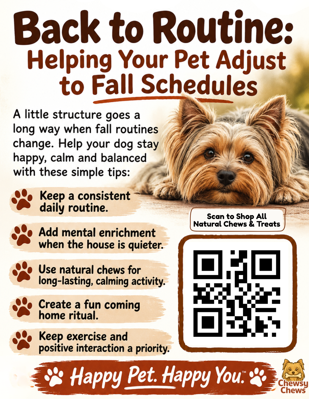 Back to Routine: Helping Your Pet Adjust to Fall Schedules
