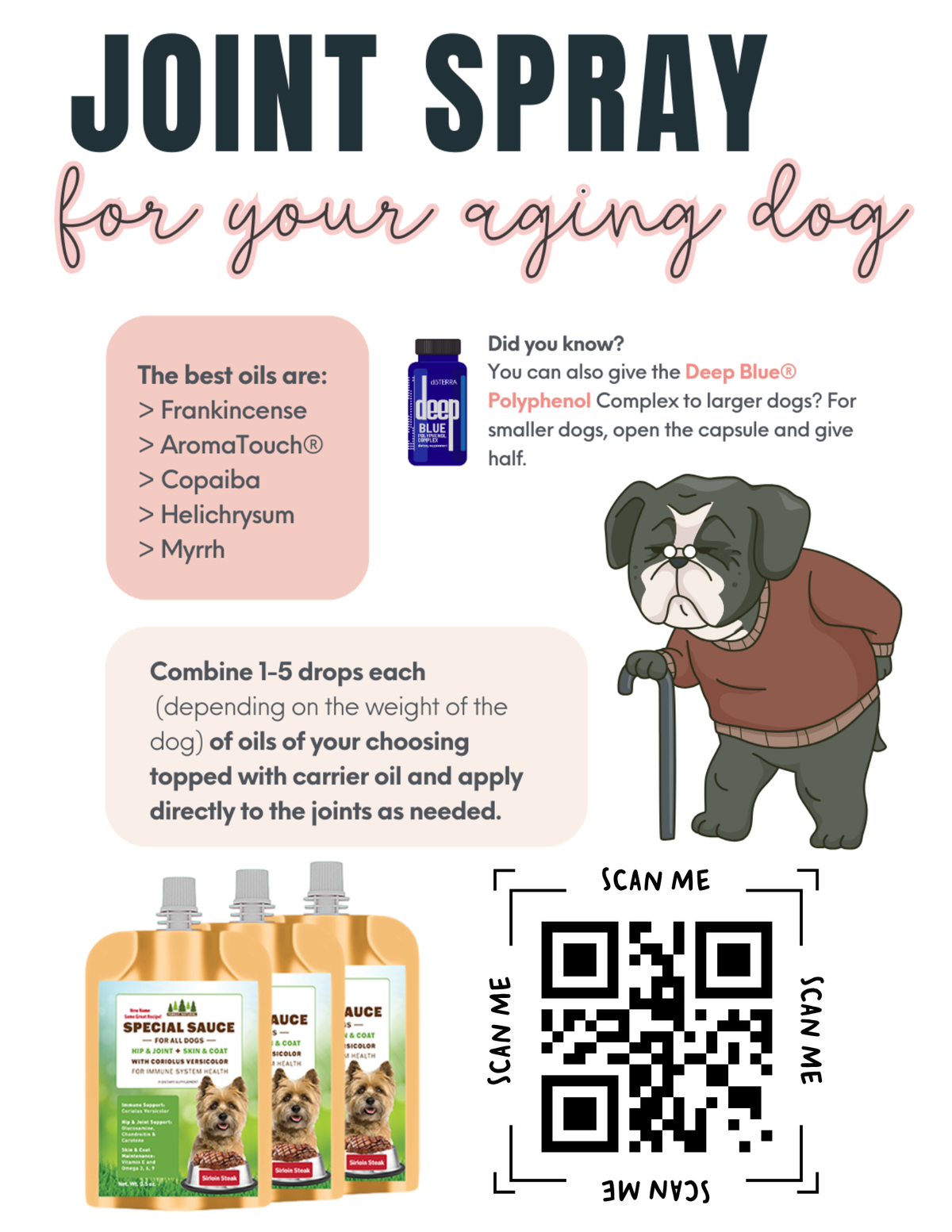 From Couch to Trail: Getting Your Dog Adventure-Ready This Spring