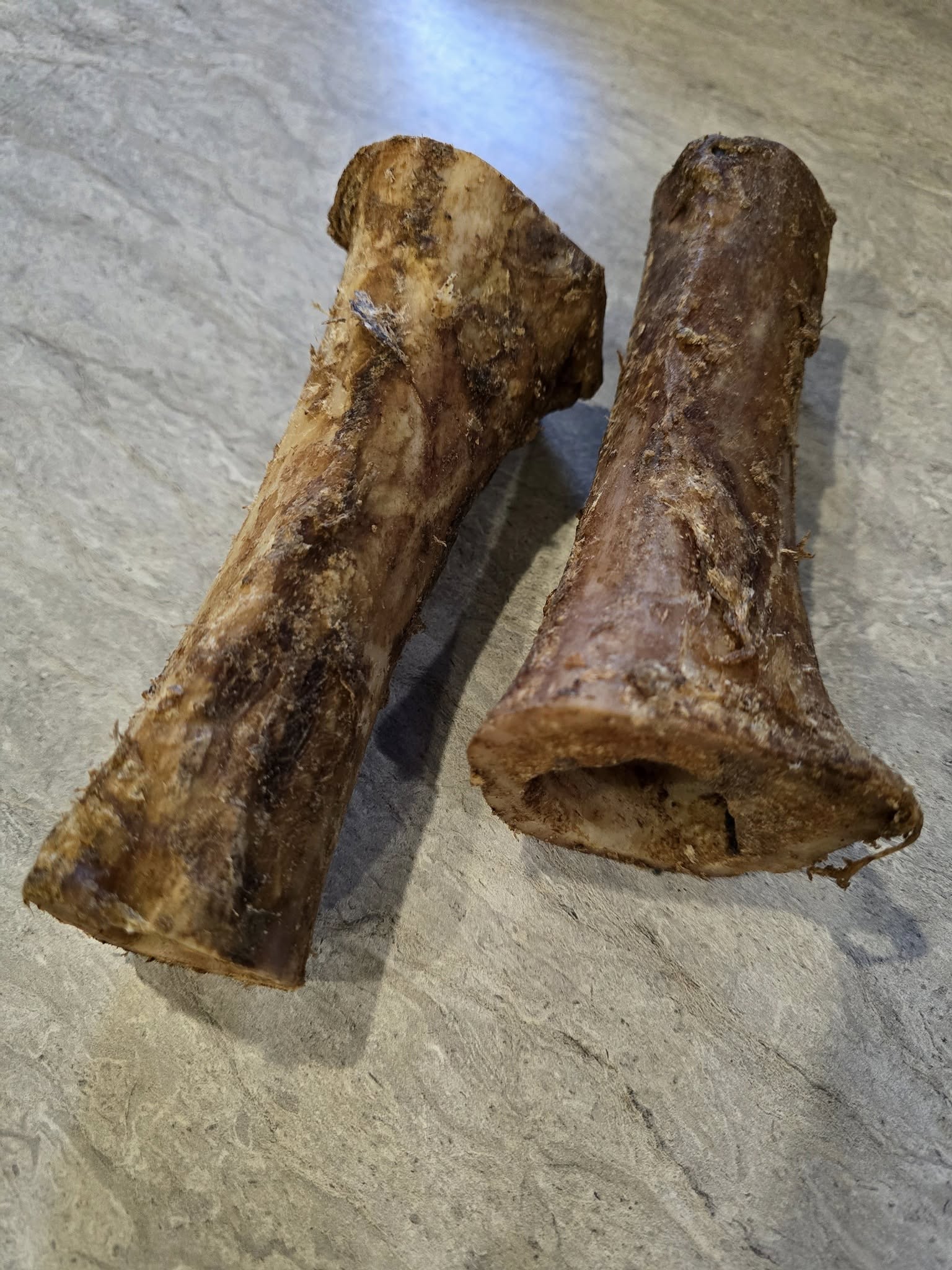 Beef Femur Bones 6"