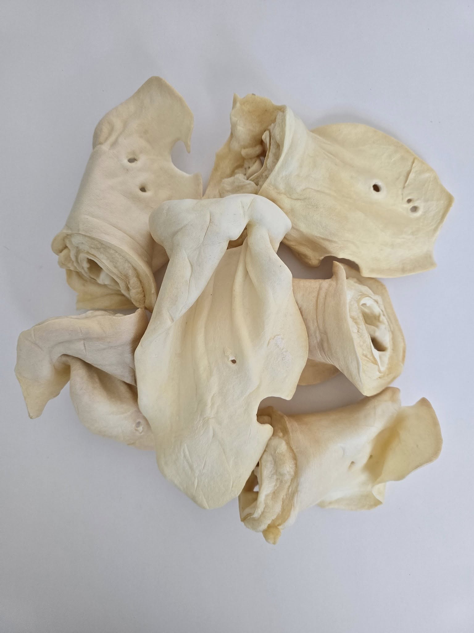 Cow Ears