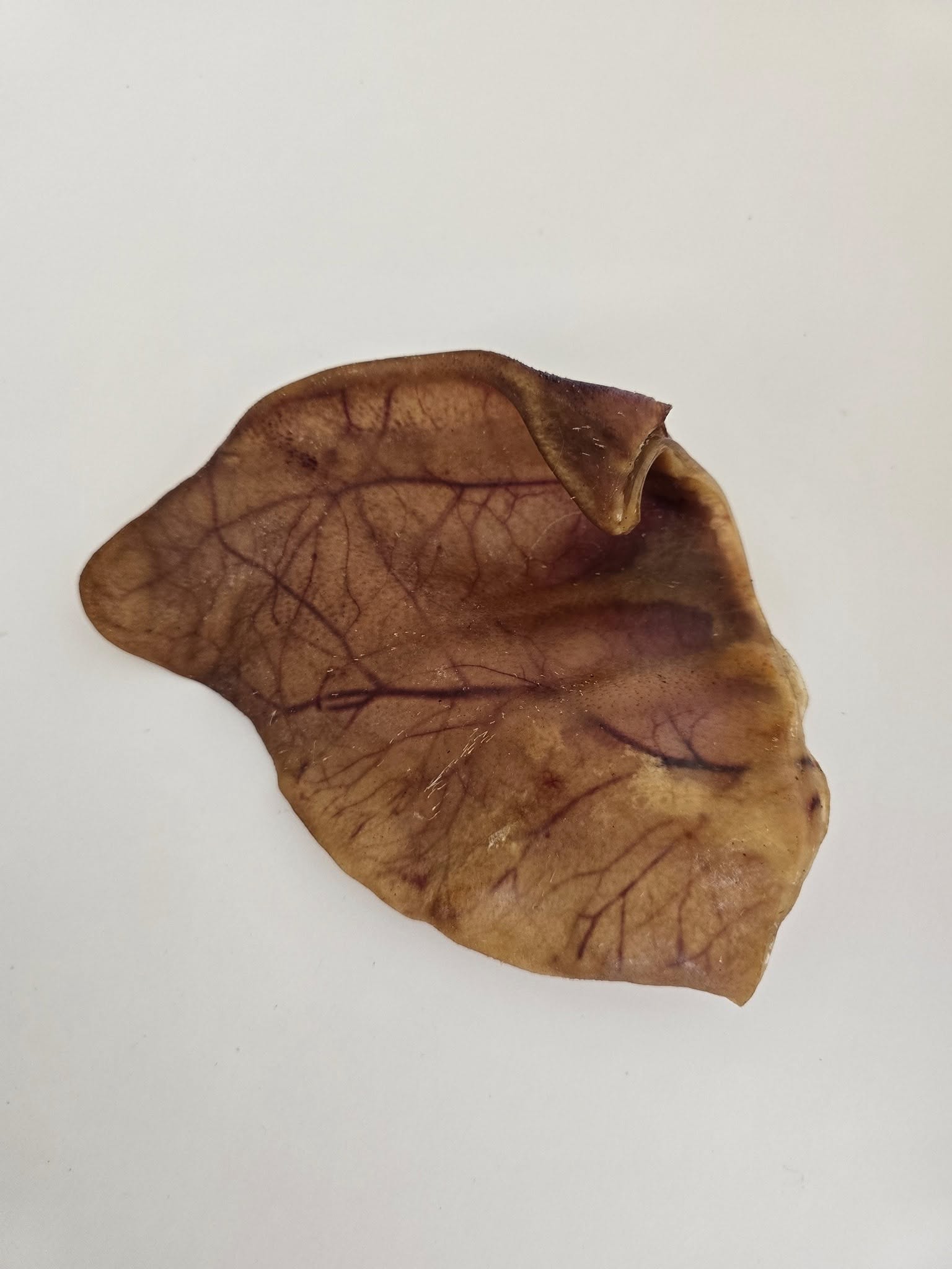 Pig Ears