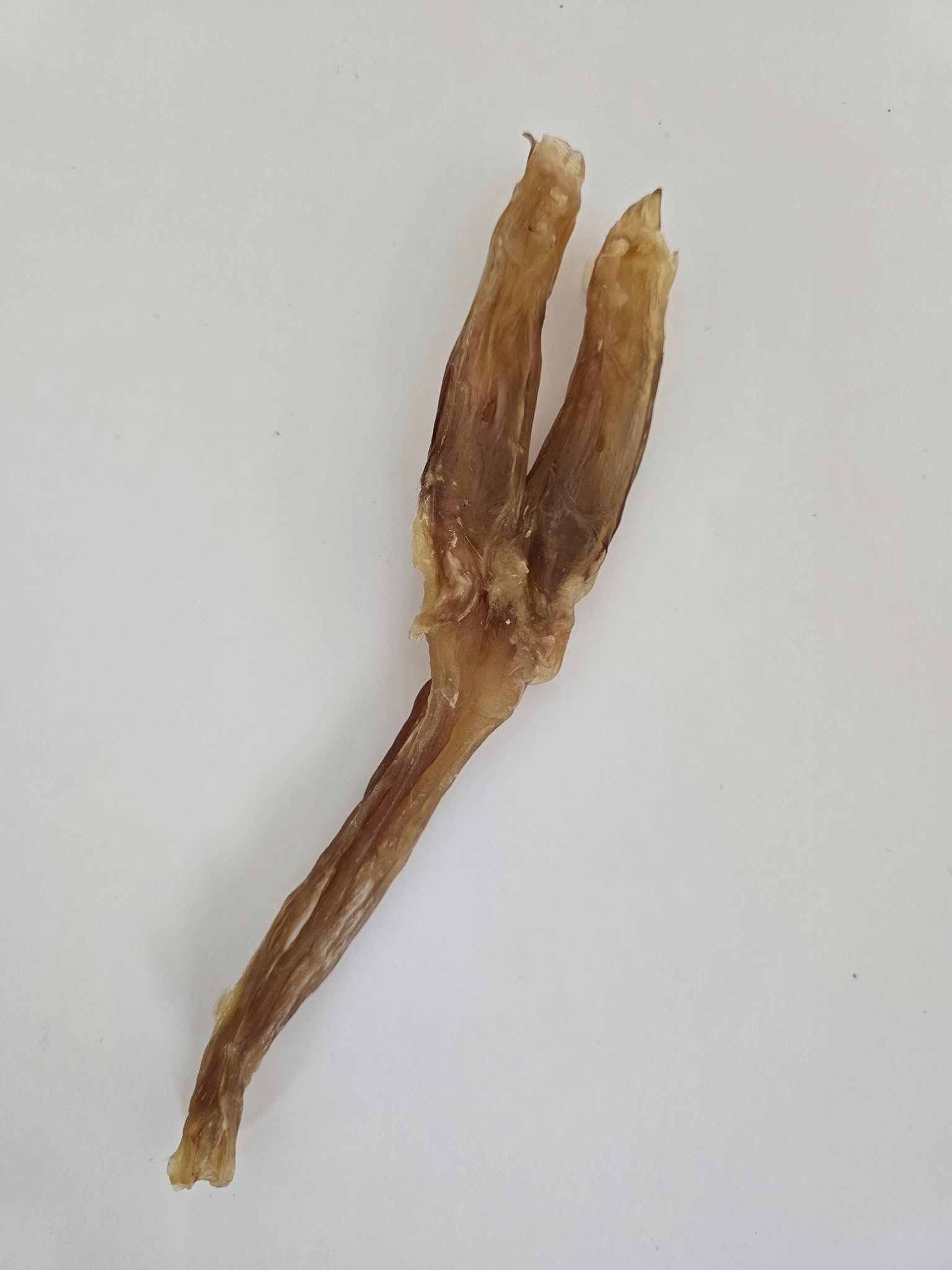 Beef Y Tendon