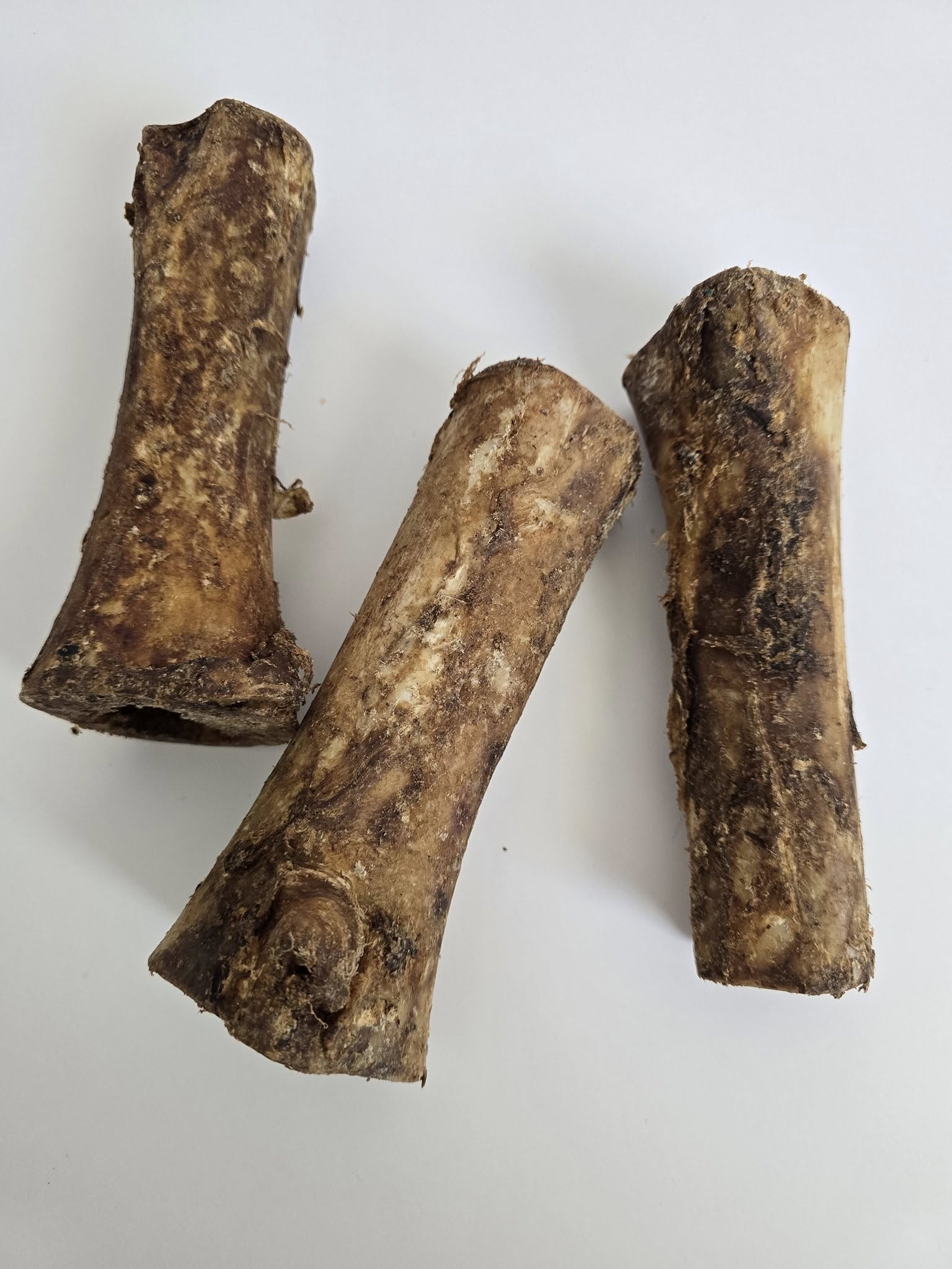Beef Femur Bones 6"