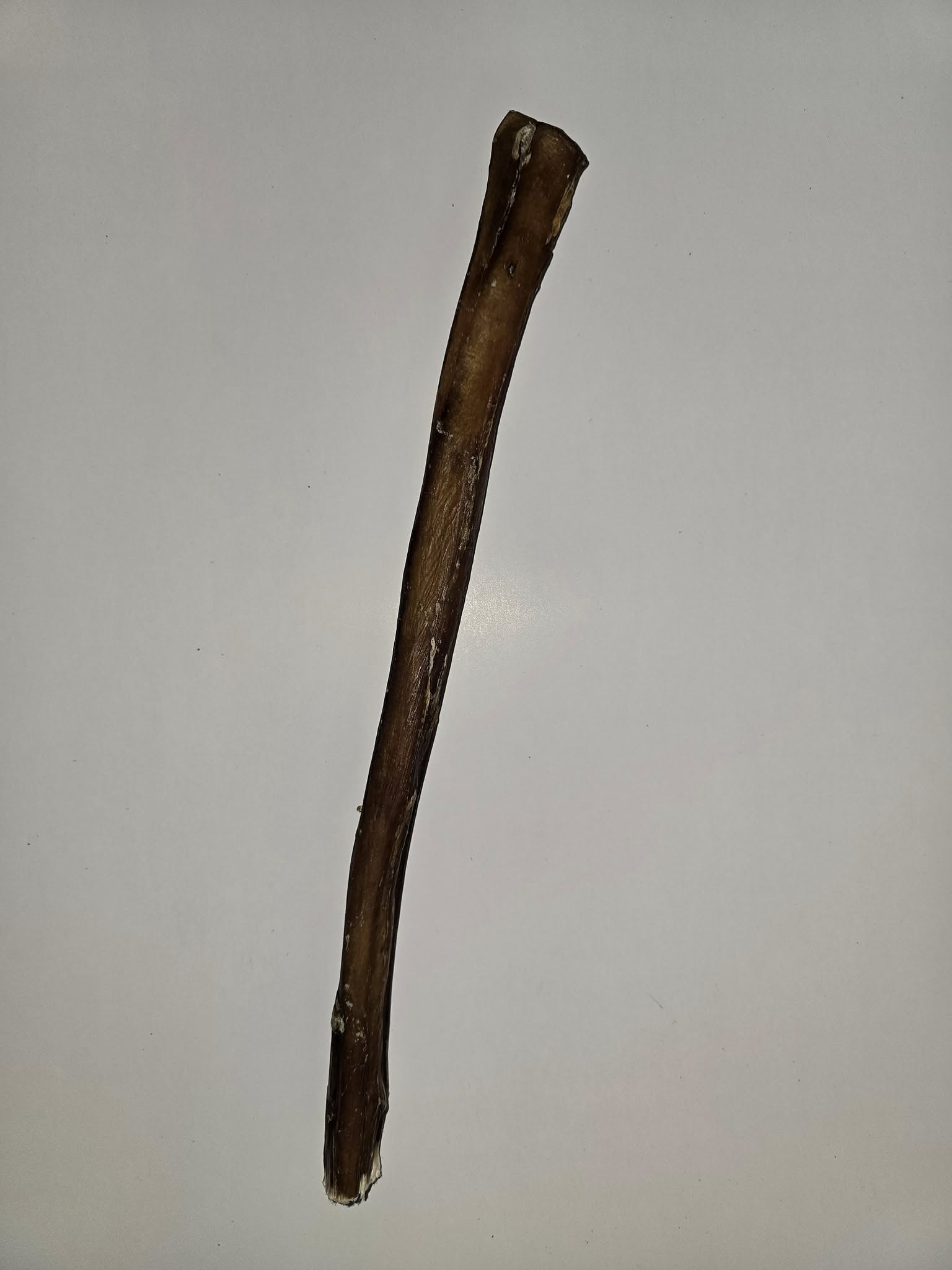 Bully Stick 12"