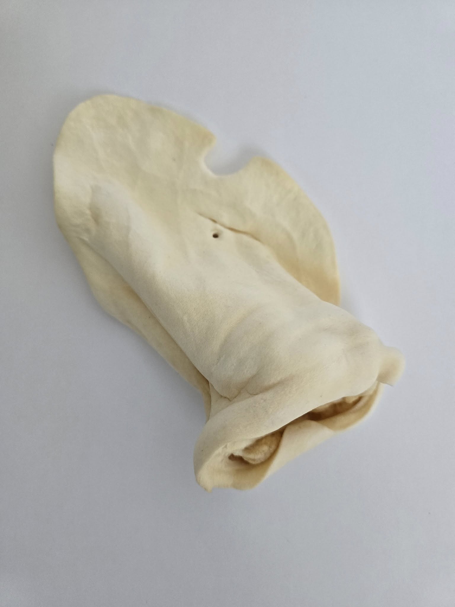 Cow Ears