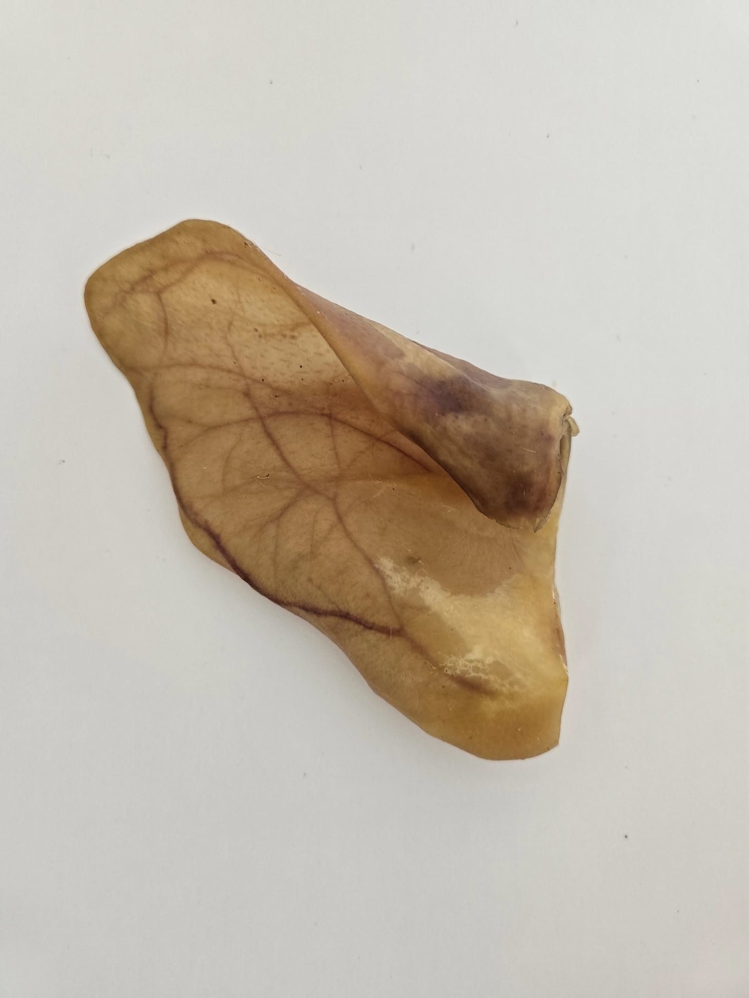 Pig Ears