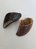 Cow Hooves - 6 Count