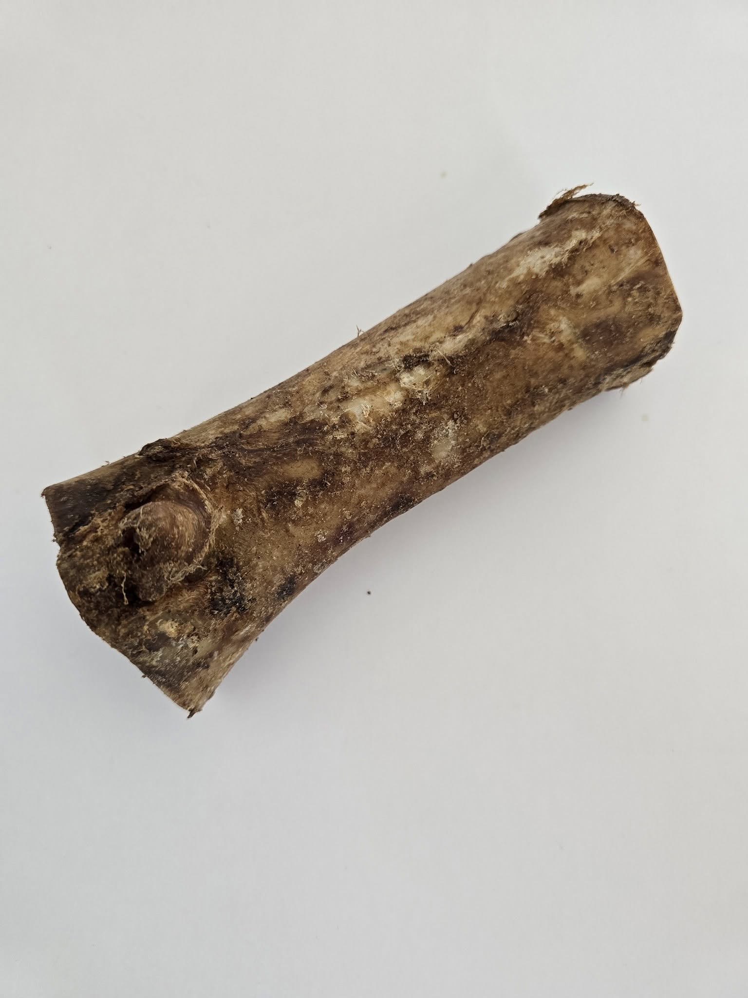 Beef Femur Bones 6"