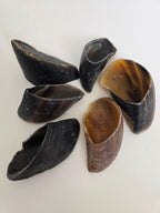 Cow Hooves - 6 Count