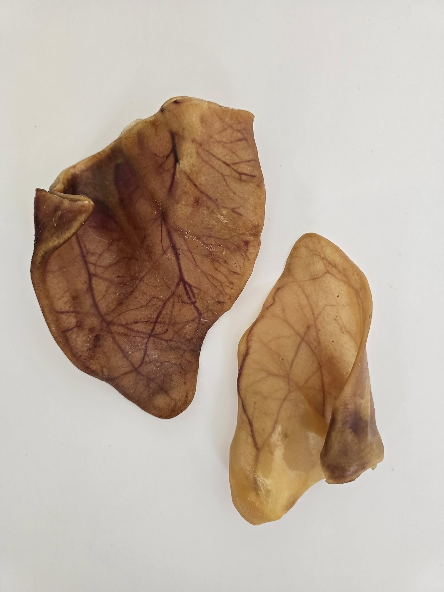 Pig Ears