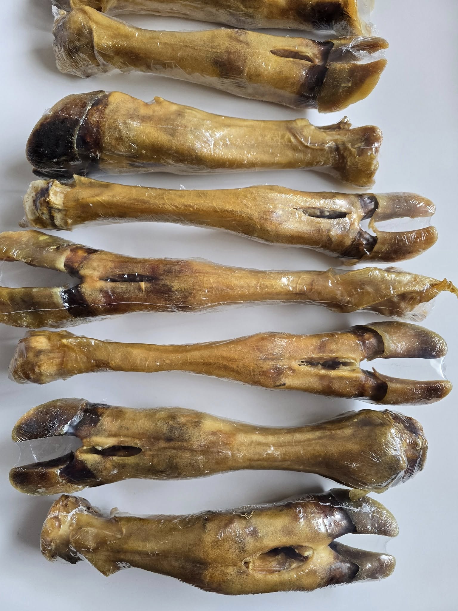 Cow Legs (Beef Feet)