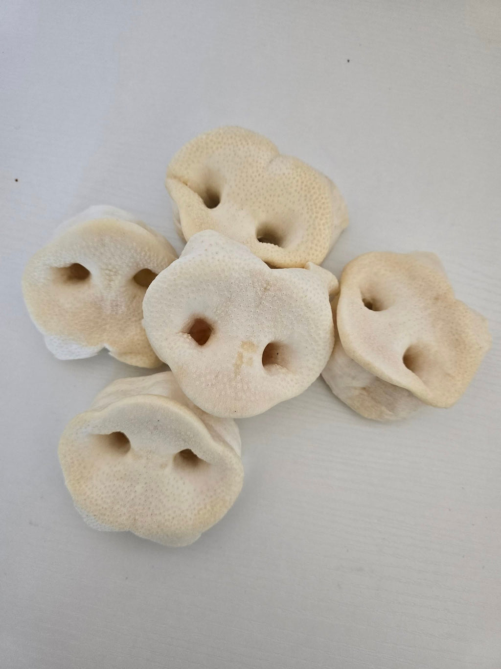 Pig Snouts