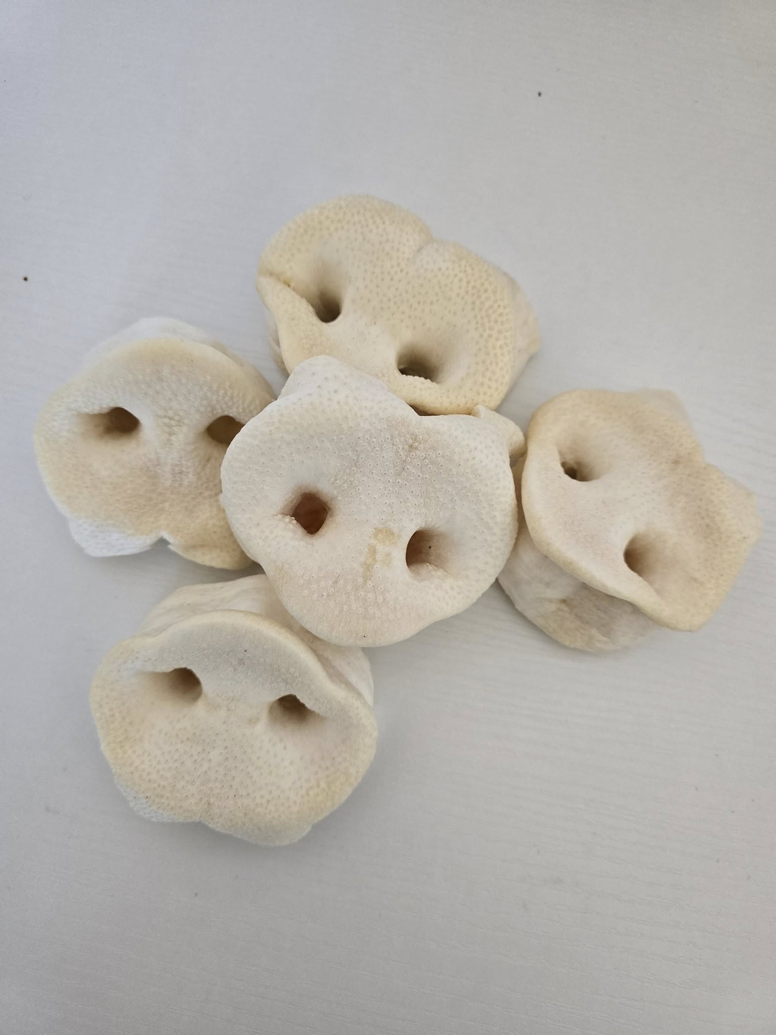 Pig Snouts