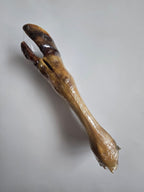 Cow Legs (Beef Feet) - Available in Person