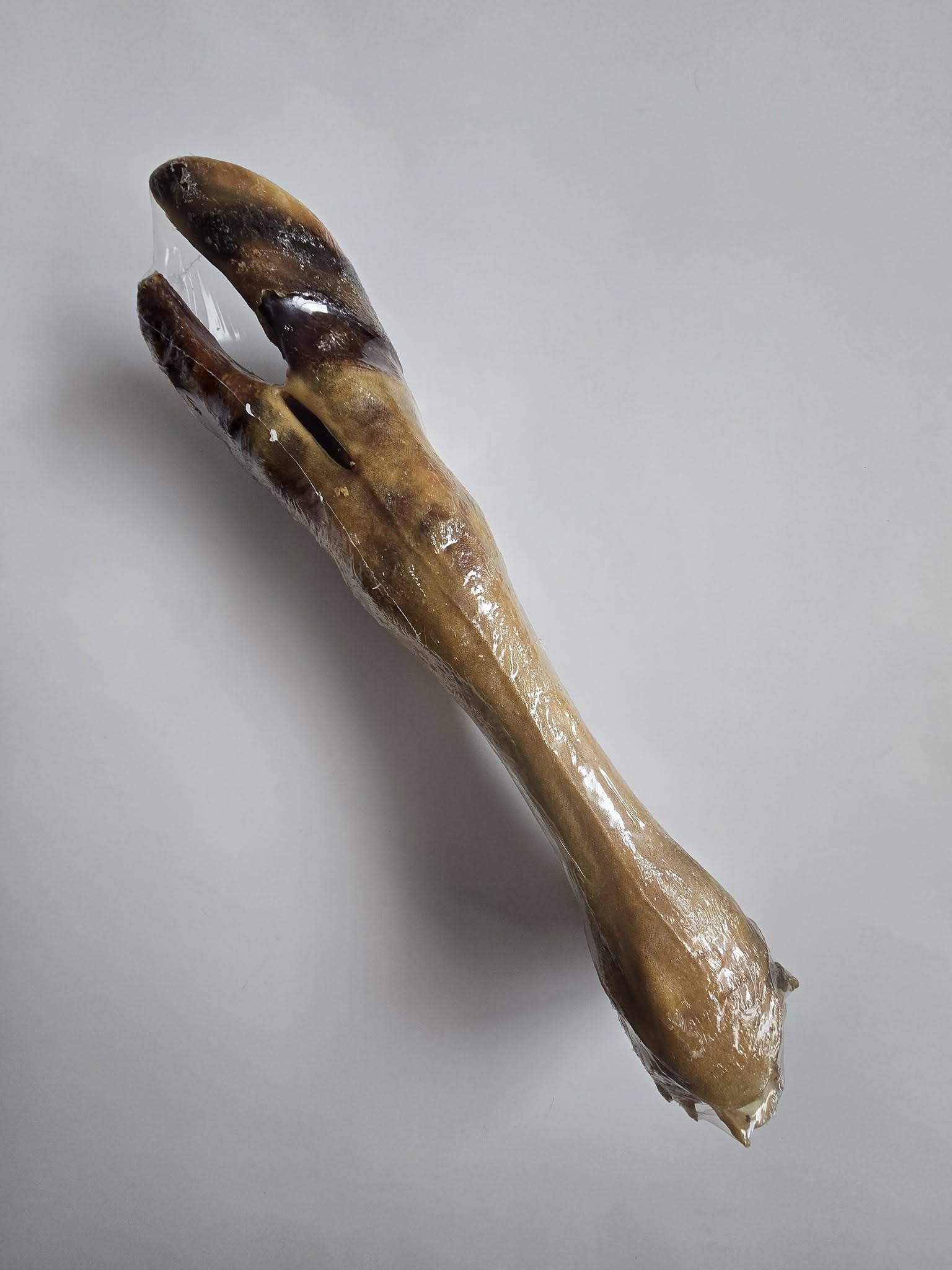 Cow Legs (Beef Feet)