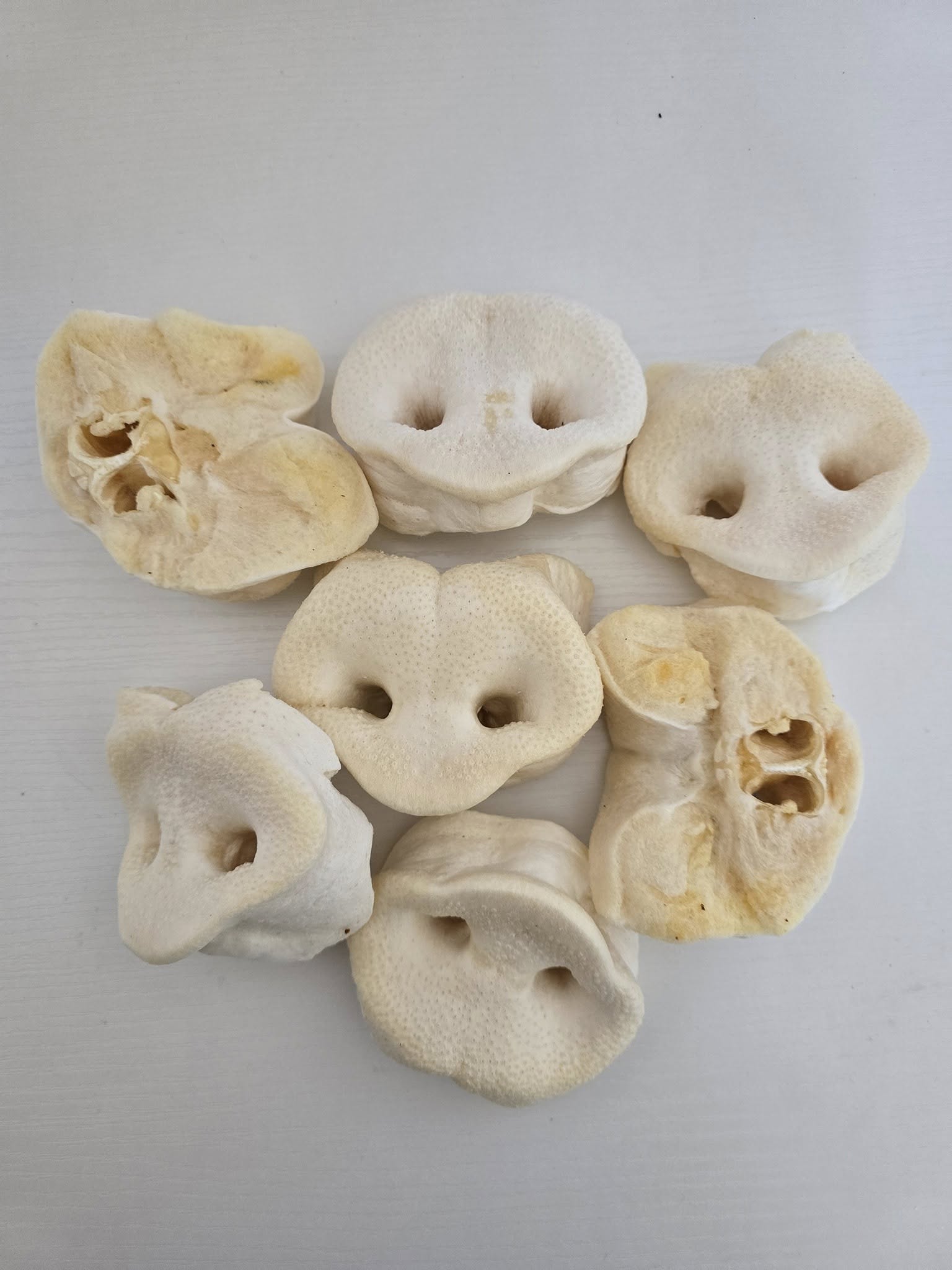 Pig Snouts