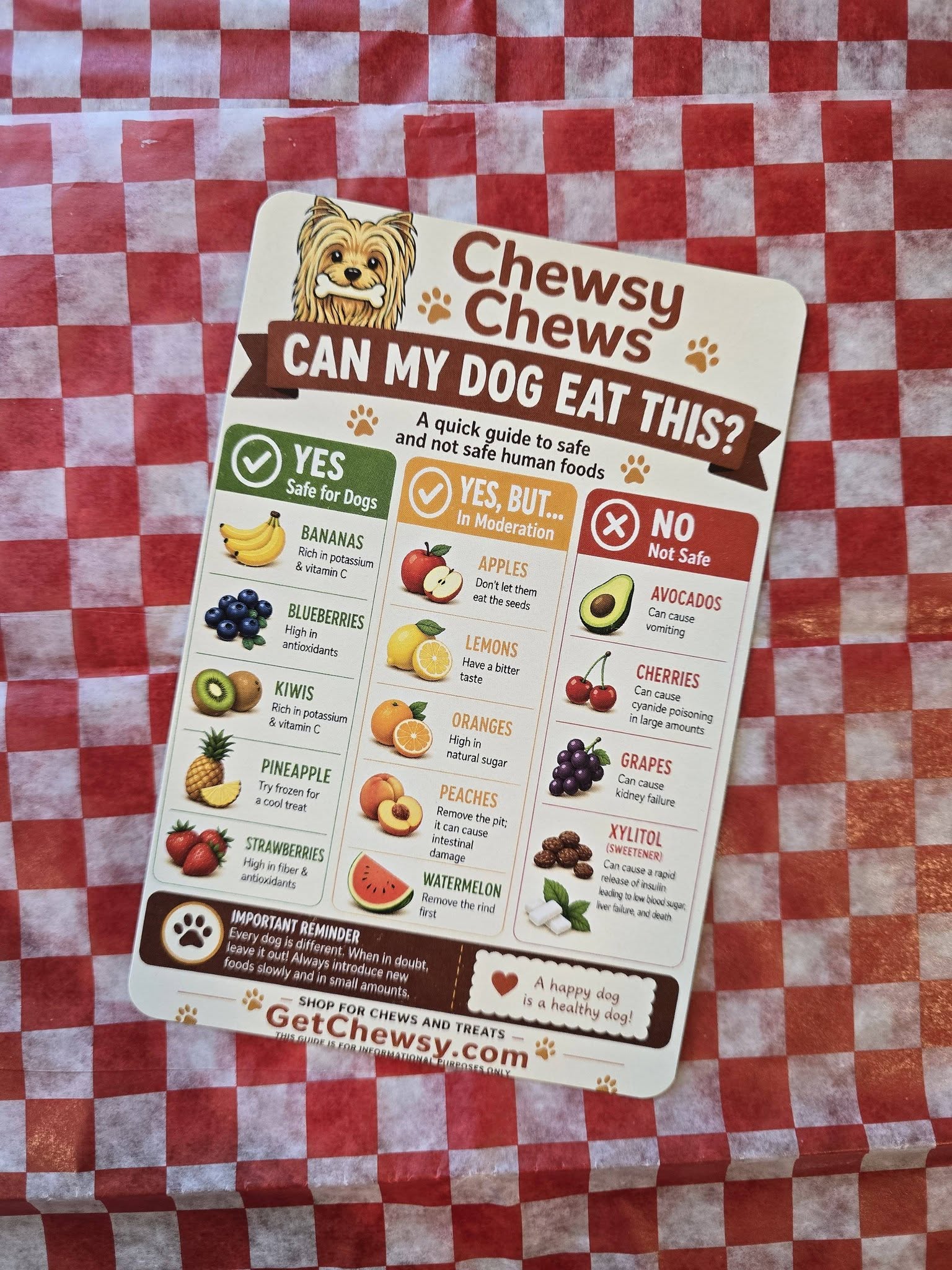 July Chewsy Box