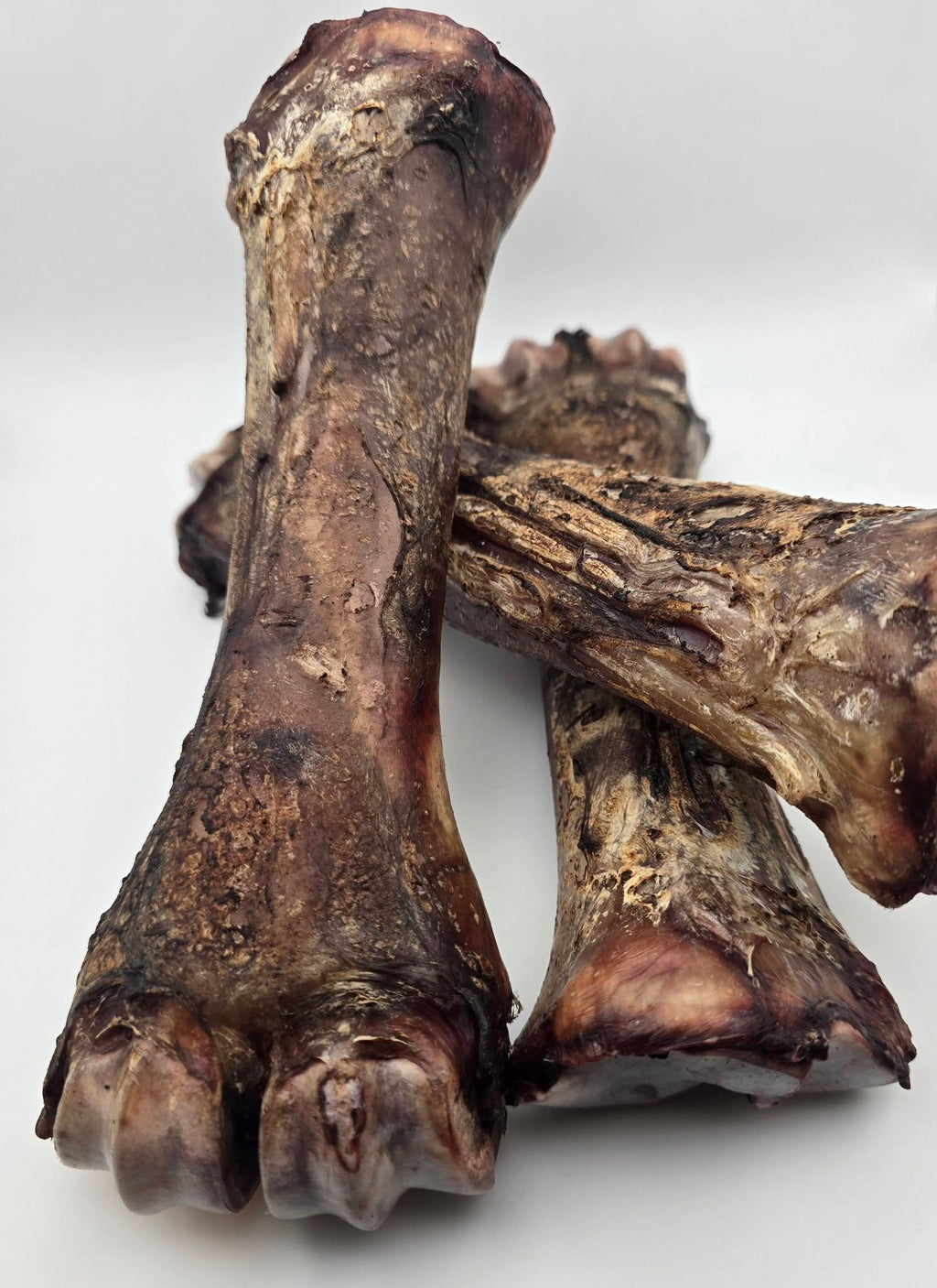 Bison Shin Bones