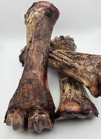 Bison Shin Bones