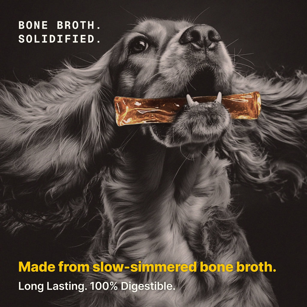 Bone Broth Chew: Beef & Berry