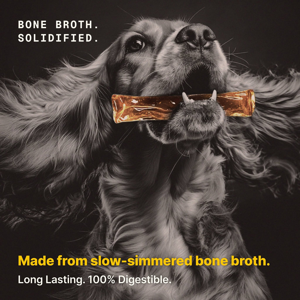 Bone Broth Chew: Beef & Berry