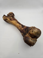 Pork Femur Bones