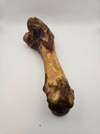 Pork Femur Bones