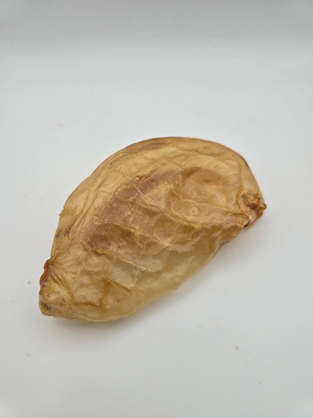 Crunchy Carp