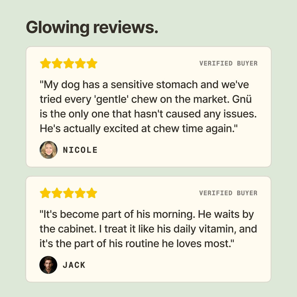 Bone Broth Chew: Beef & Berry