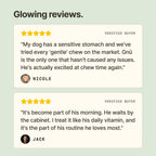 Bone Broth Chew: Beef & Berry