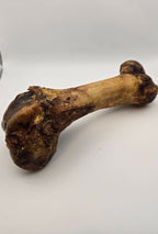 Pork Femur Bones