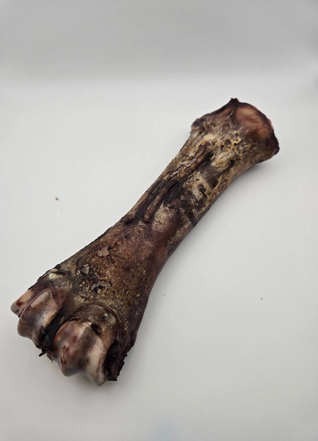 Bison Shin Bones