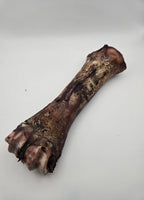 Bison Shin Bones