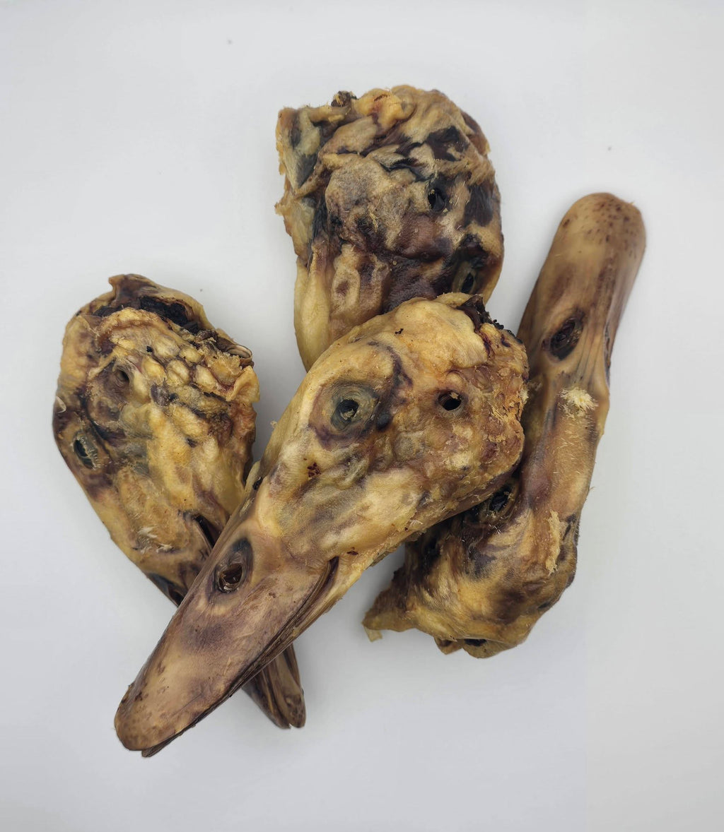Duck Heads