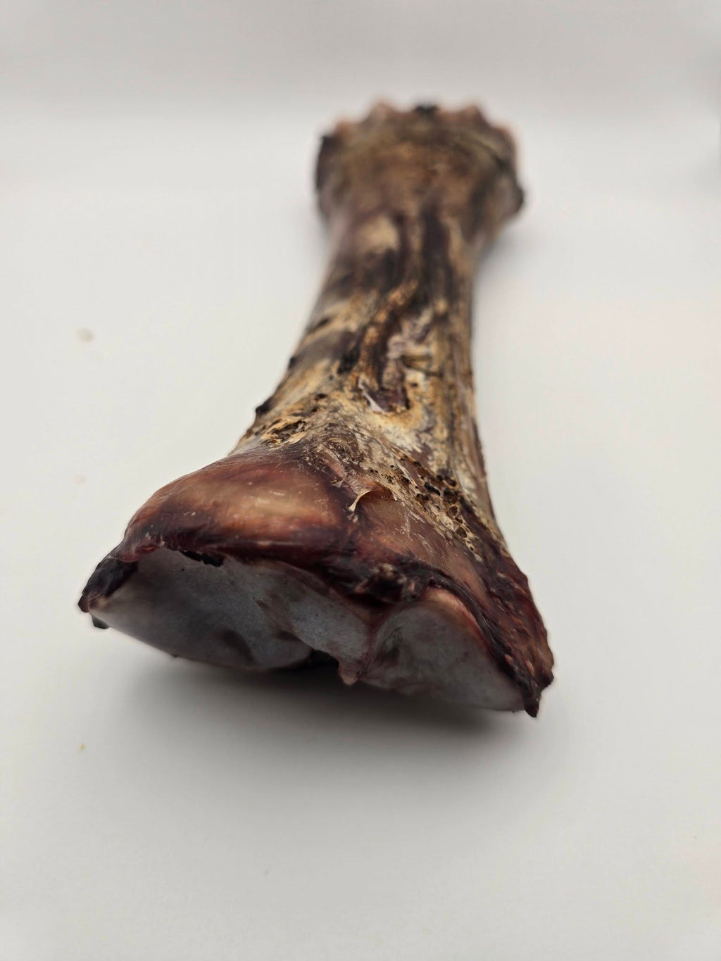 Bison Shin Bones