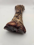 Bison Shin Bones