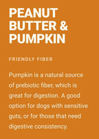 Bone Broth Chew: Peanut Butter & Pumpkin