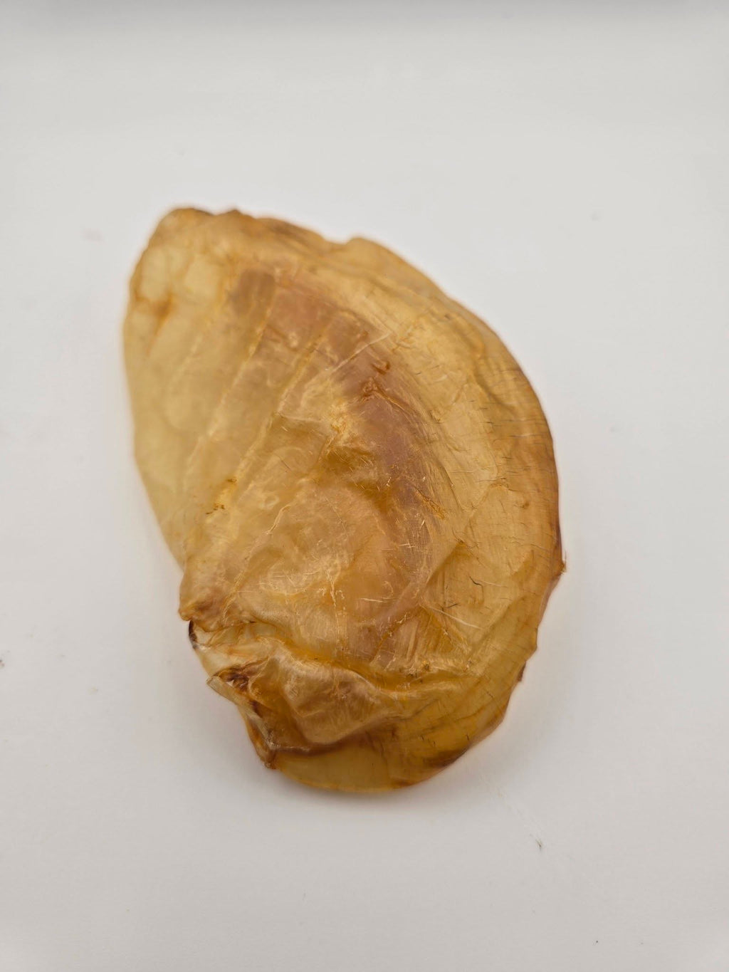 Crunchy Carp