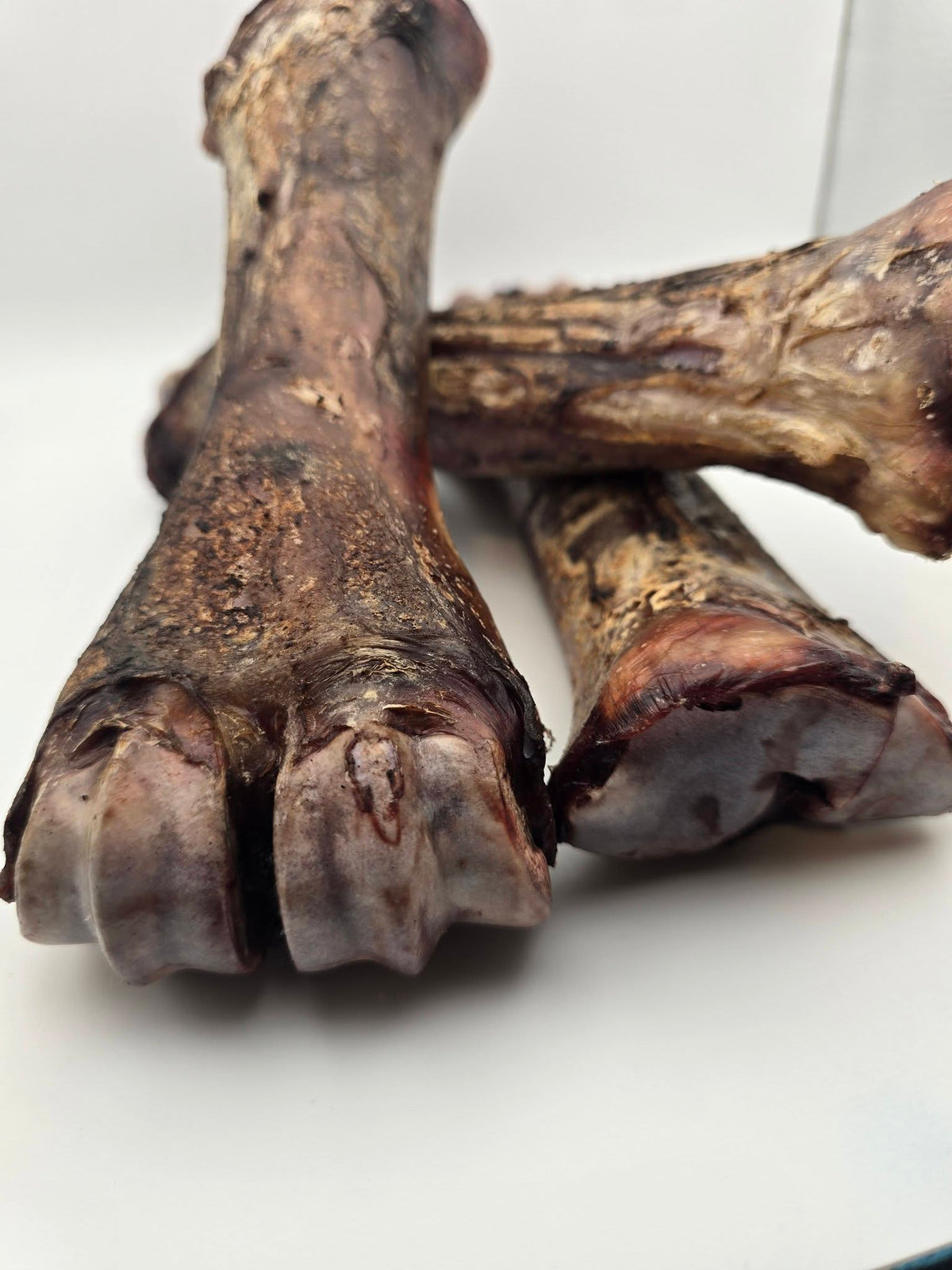 Bison Shin Bones