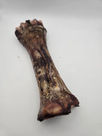 Bison Shin Bones