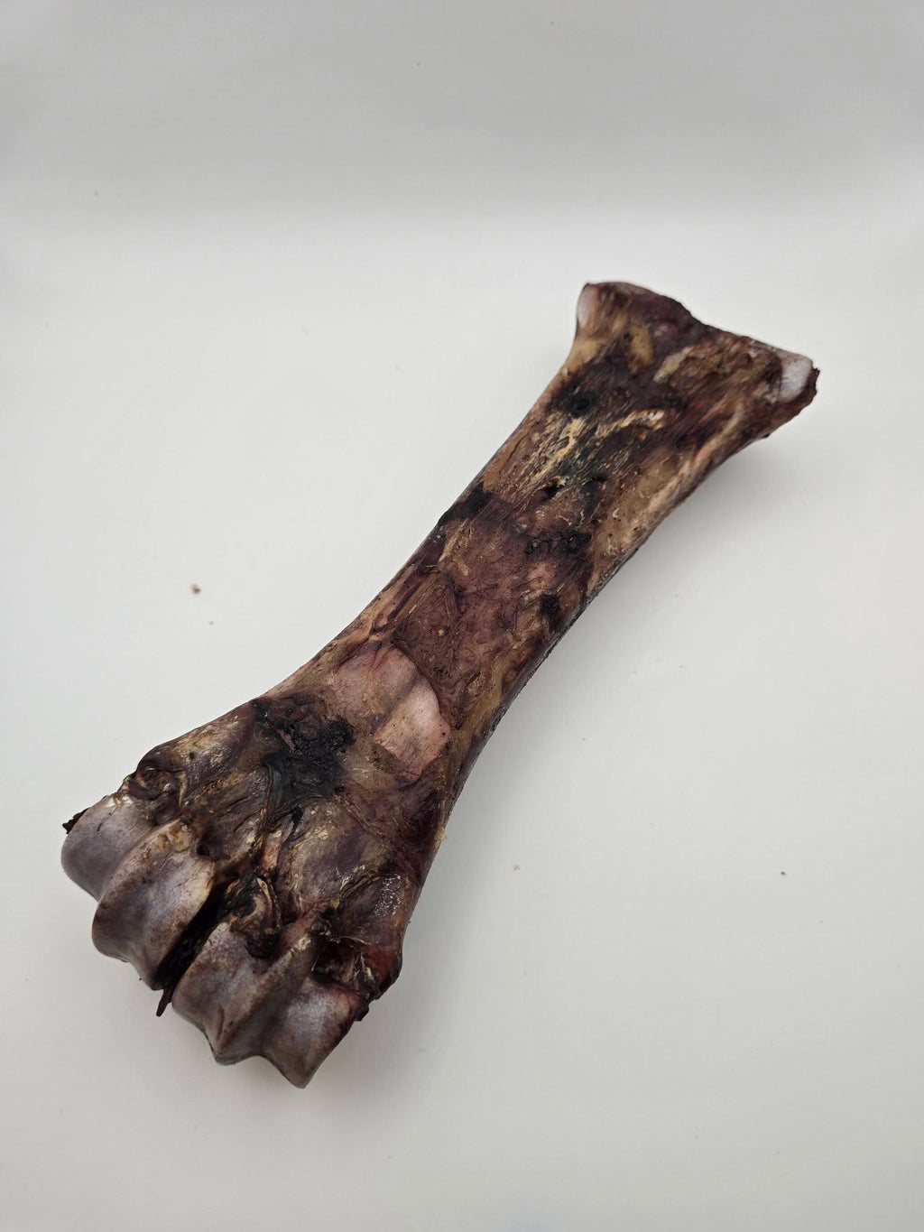 Bison Shin Bones