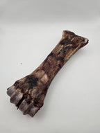 Bison Shin Bones