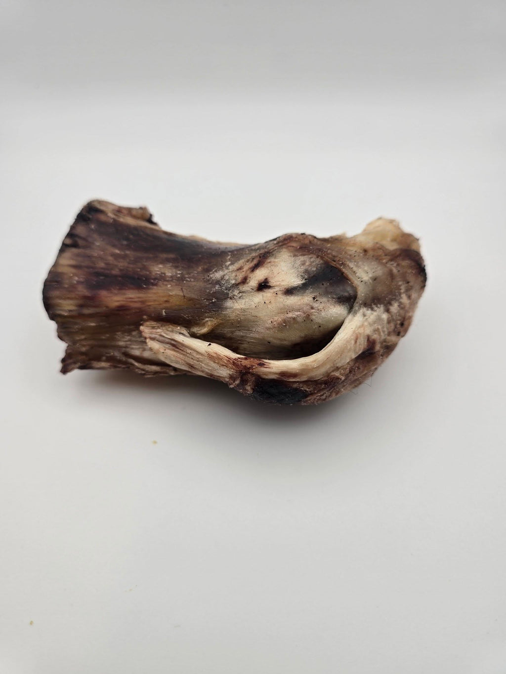 Bison Knots - 5 Count