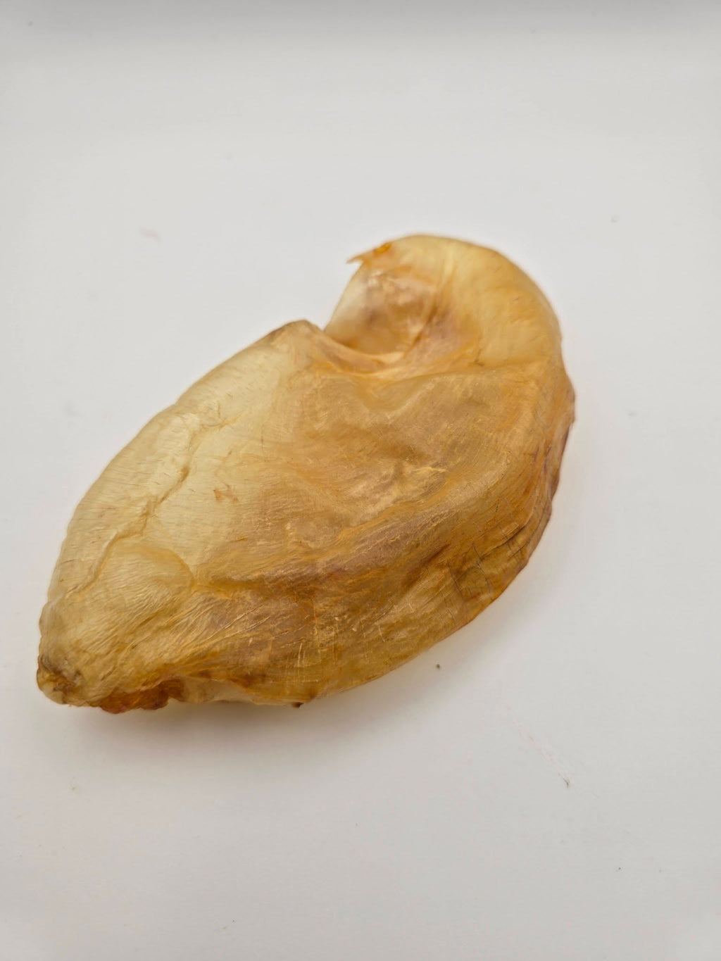 Crunchy Carp