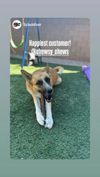 Bully Stick Mega Size