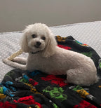 Braided Beef Cheek - 6 Count