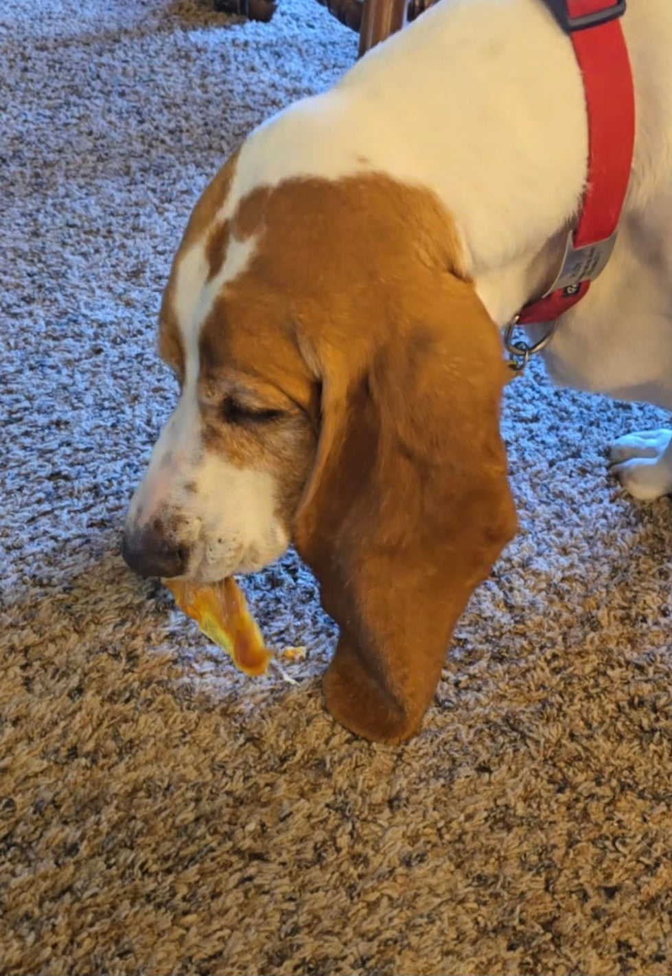 Chicken Jerky Treats