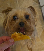 Chicken Jerky Treats
