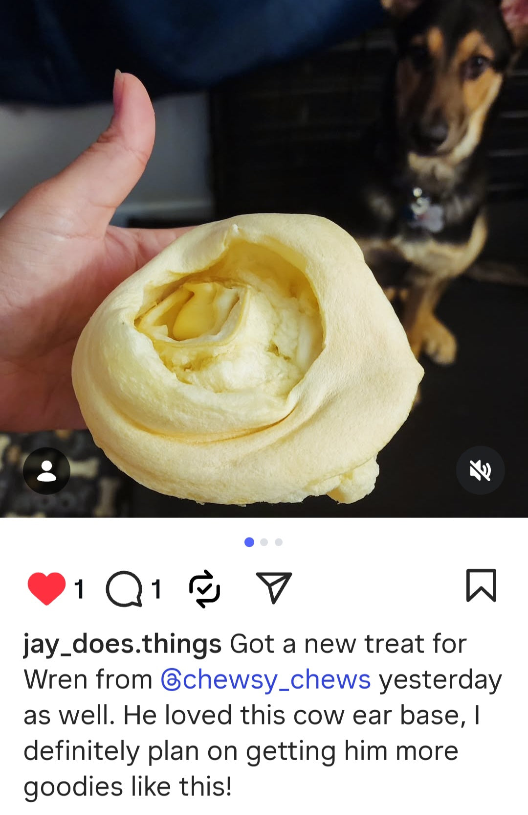 Cow Ear Base - 5 Count